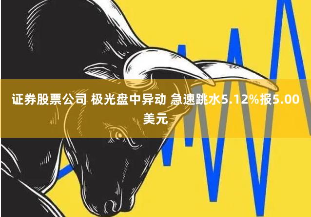 证券股票公司 极光盘中异动 急速跳水5.12%报5.00美元